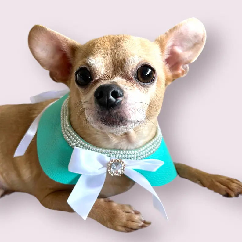 Sniffany Blue Neck Collar- Dog Neck Collar Bark Fifth Avenue