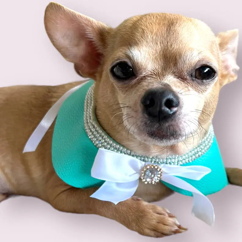 Sniffany Blue Neck Collar- Dog Neck Collar Bark Fifth Avenue