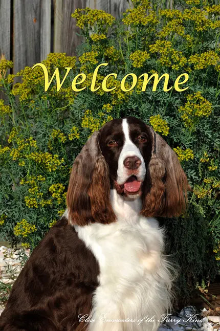 Springer Spaniel  - Close Encounters of the Furry Kind Welcome  House and Garden Flags Best of Breed
