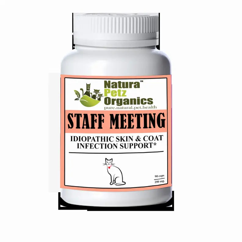 Staff Meeting* Idiopathic Skin & Coat Infection* Support For Dogs And Cats* Organic Pet Systems