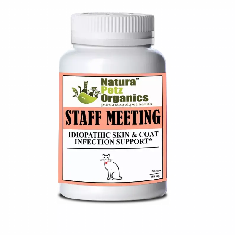 Staff Meeting* Idiopathic Skin & Coat Infection* Support For Dogs And Cats* Organic Pet Systems
