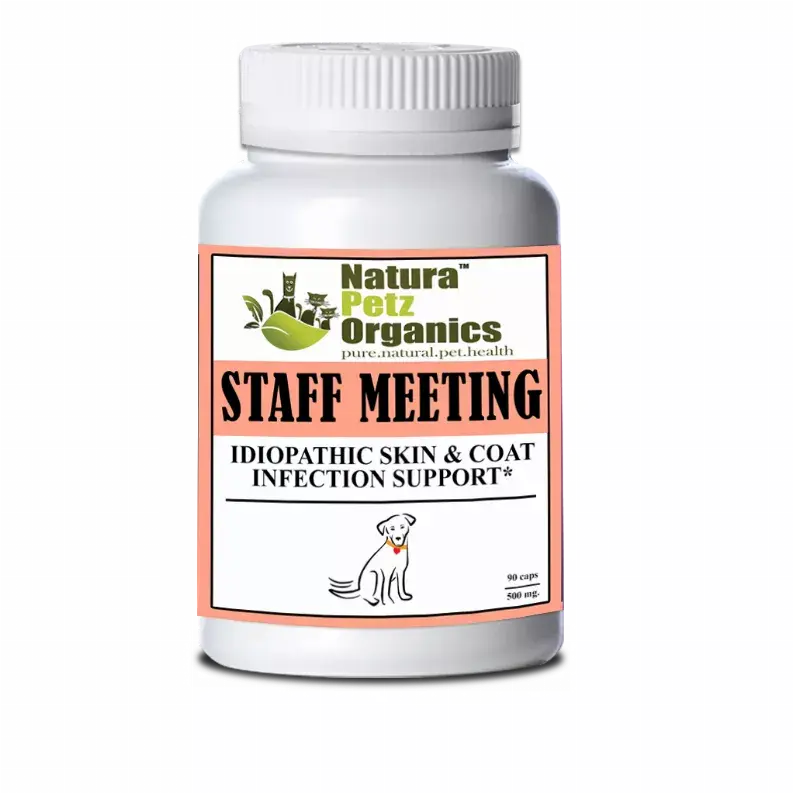 Staff Meeting* Idiopathic Skin & Coat Infection* Support For Dogs And Cats* Organic Pet Systems