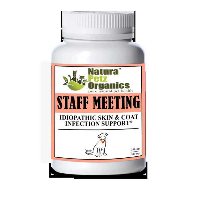 Staff Meeting* Idiopathic Skin & Coat Infection* Support For Dogs And Cats* Organic Pet Systems