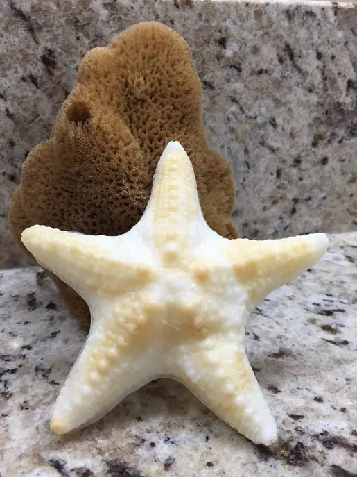 Starfish Soap Grecian Soap
