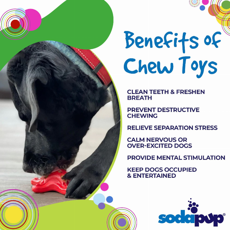 Starfish Ultra Durable Nylon Dog Chew Toy for Aggressive Chewers SodaPup
