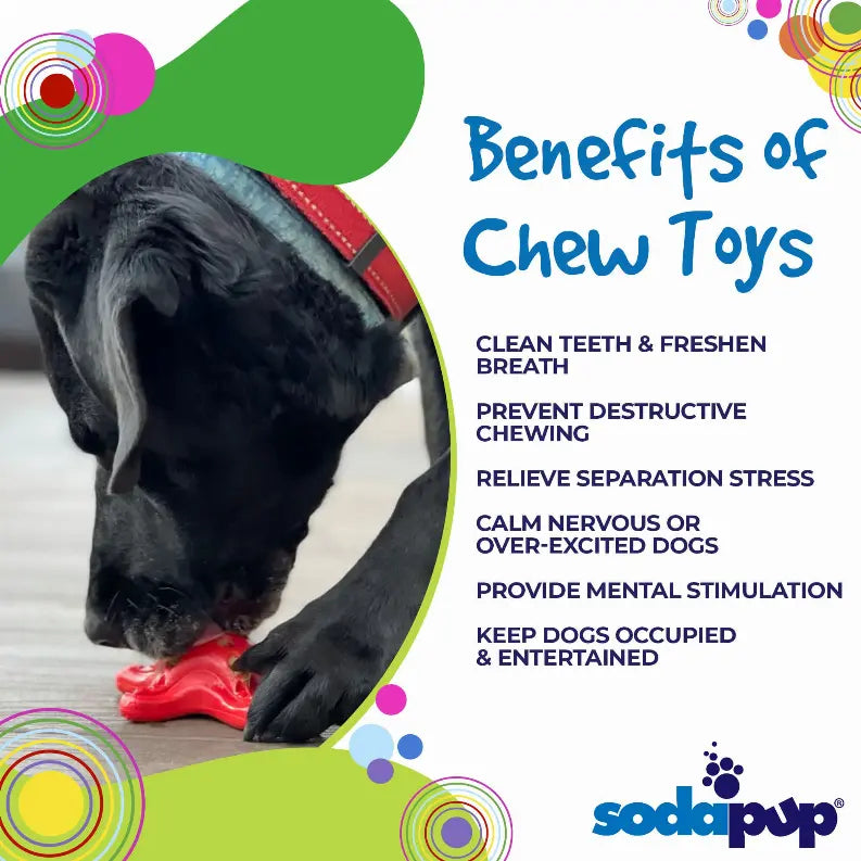 Starfish Ultra Durable Nylon Dog Chew Toy for Aggressive Chewers SodaPup