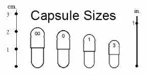 Stix And Stones Capsules* Kidney, Urinary Tract Infection & Stone Support* Organic Pet Systems