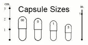 Stix And Stones Capsules* Kidney, Urinary Tract Infection & Stone Support* Organic Pet Systems