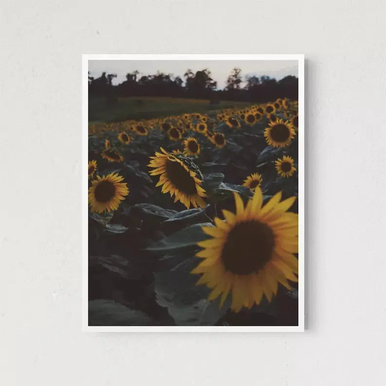 Sunflowers The Crafted Prints
