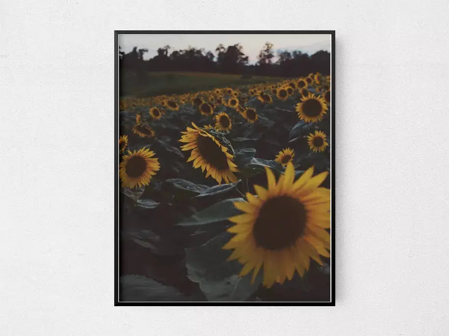 Sunflowers The Crafted Prints
