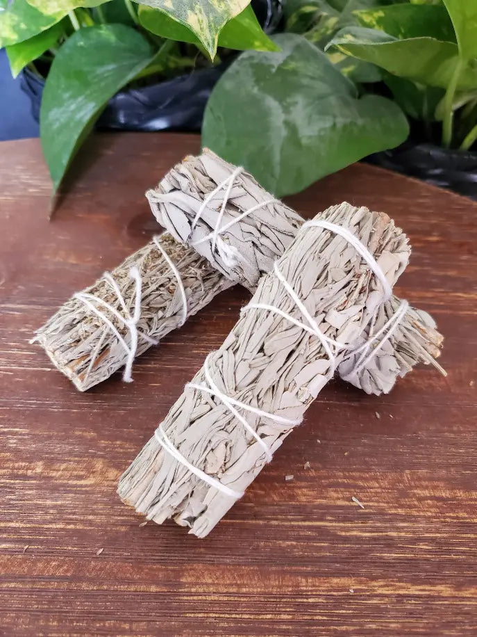 Sustainably Sourced White Sage Bundle Three Witches