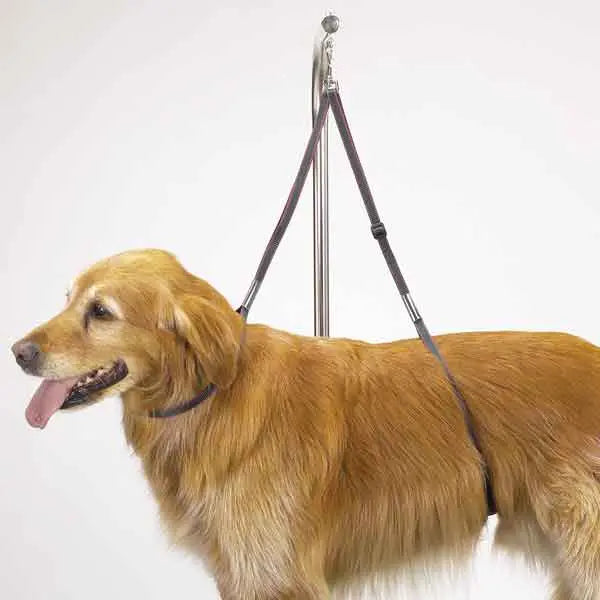 TP Nylon Table Harness 27In Top Performance