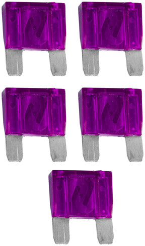 Xscorpion 100 Amp Fuses 5per Bag Xscorpion