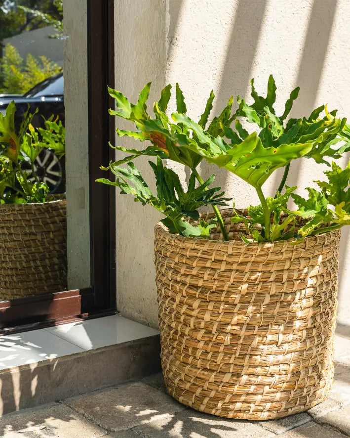 Tall Planter Basket Vi Bella
