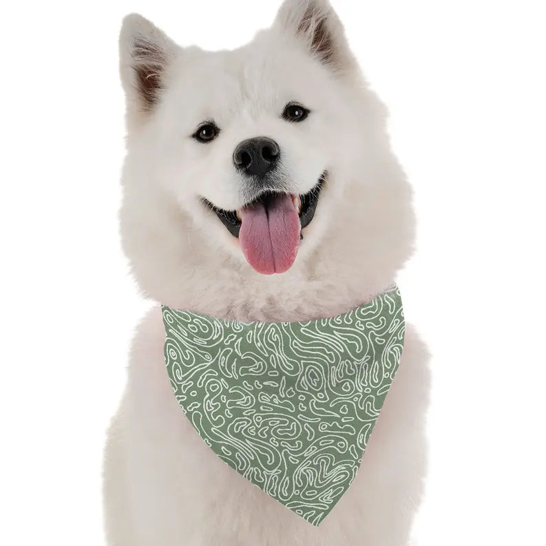 Talullah Bandoggies