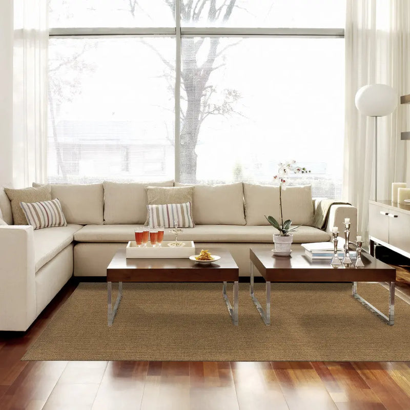Tan Stain Resistant Indoor Outdoor Area Rug Homeroots Outdoor