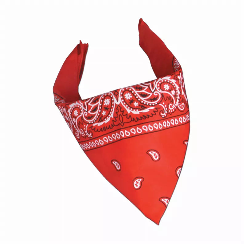 Themed Bandanas Beistle