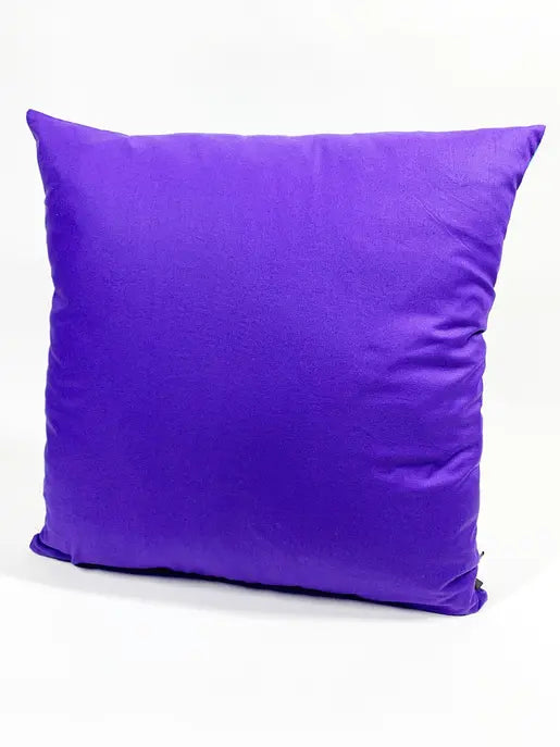 Throw Pillow Sought + Found