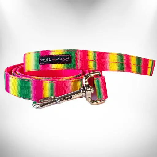 Tie Dye Dog Leads Walk-e-Woo