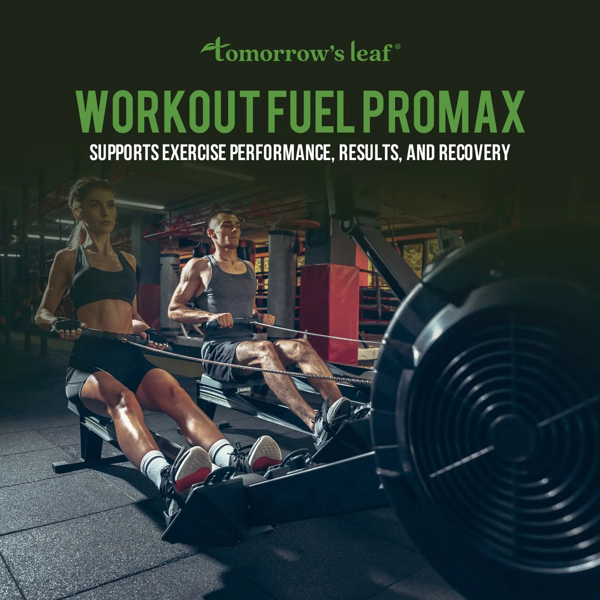 Tomorrow's Leaf Workout Fuel ProMax DermOne Health & Wellness