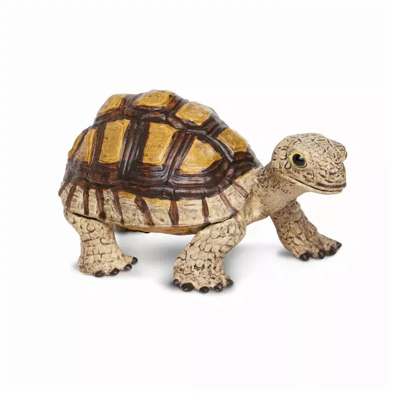 Tortoise Safari LTD
