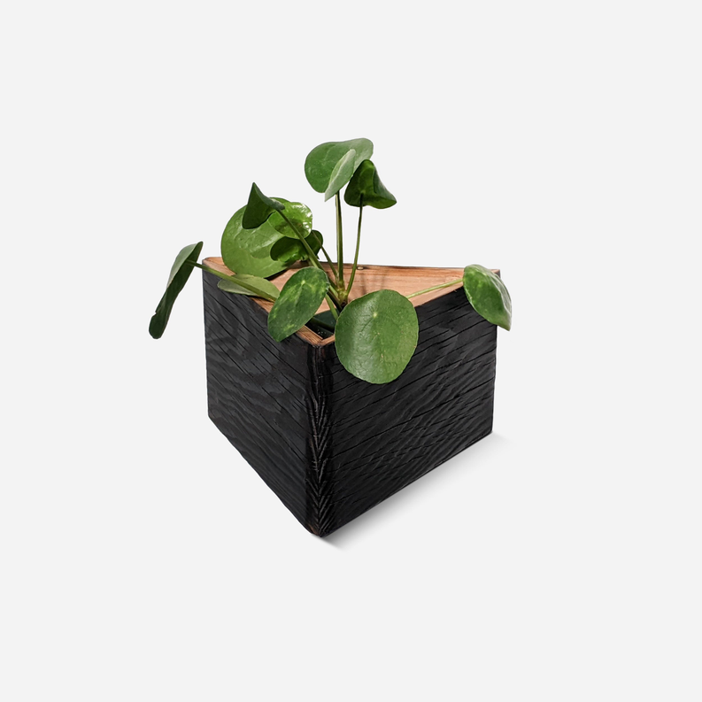 Triangle self-watering, wall-mounted planter Formr
