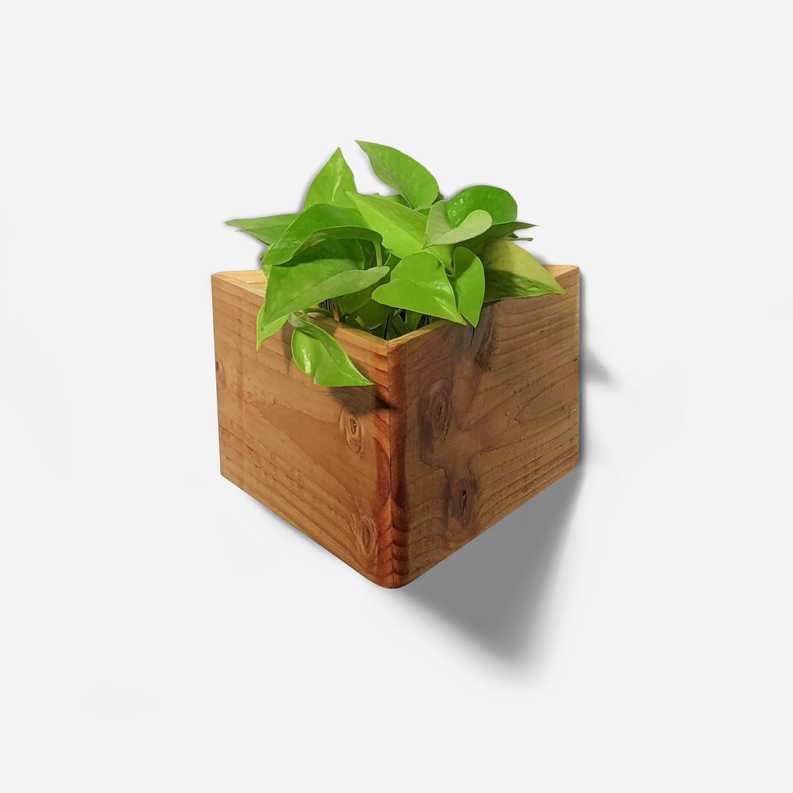 Triangle self-watering, wall-mounted planter Formr