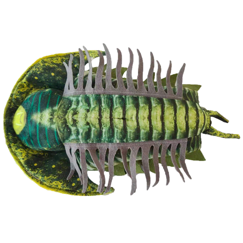 Trilobite Plush 12" Stuffed Animal Collectible Fossil Toy Texas Toy Distribution
