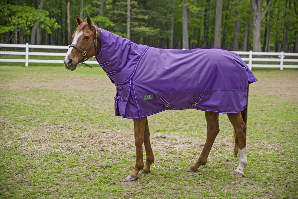 TuffRider 1680 D Super Comfy Detachable Neck Blanket JPC Equestrian