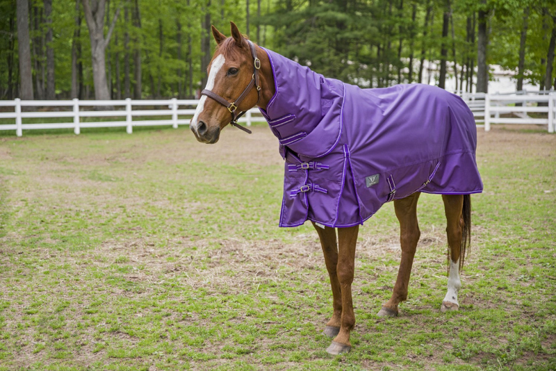 TuffRider 1680 D Super Comfy Detachable Neck Blanket JPC Equestrian
