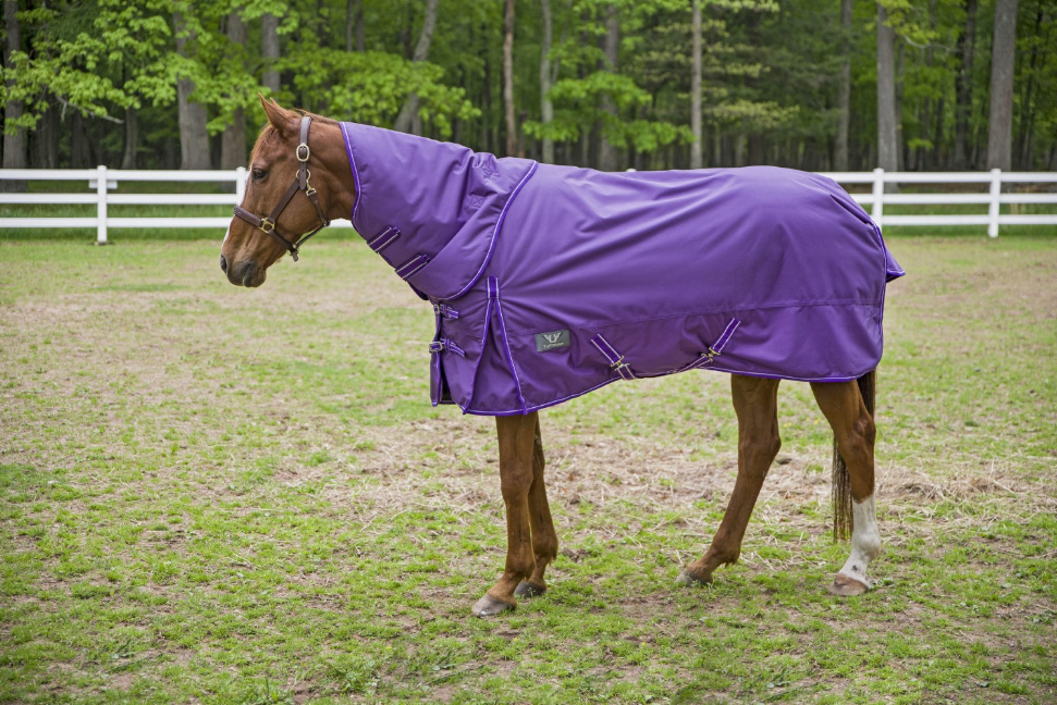 TuffRider 1680 D Super Comfy Detachable Neck Blanket JPC Equestrian