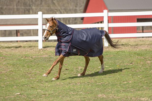 Tuffrider Comfy Heavy Weight Detachable Neck Winter Blanket with 350 gms of Fill JPC Equestrian