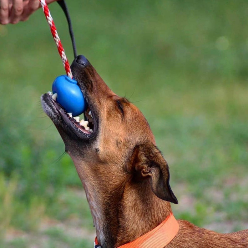 USA-K9 Cherry Bomb Durable Rubber Chew Toy, Treat Dispenser, Reward Toy, Tug Toy, and Retrieving Toy SodaPup