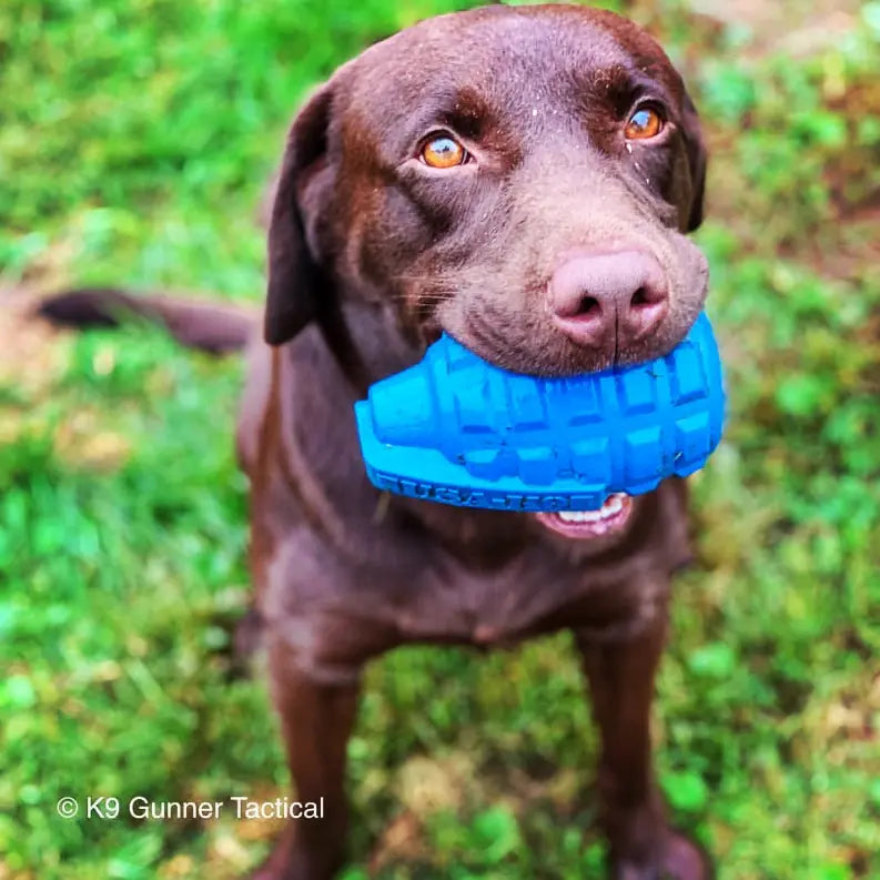 USA-K9 Grenade Durable Rubber Chew Toy & Treat Dispenser SodaPup