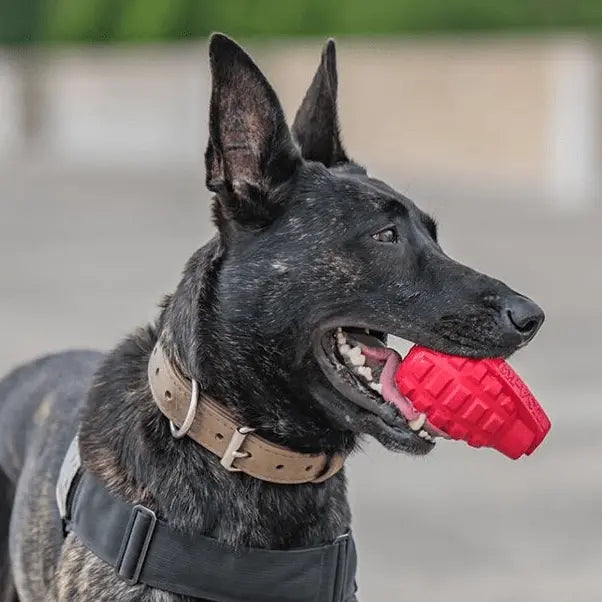 USA-K9 Grenade Durable Rubber Chew Toy & Treat Dispenser SodaPup