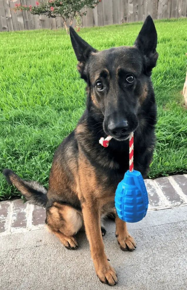 USA-K9 Grenade Durable Rubber Chew Toy, Treat Dispenser, Reward Toy, Tug Toy, and Retrieving Toy SodaPup
