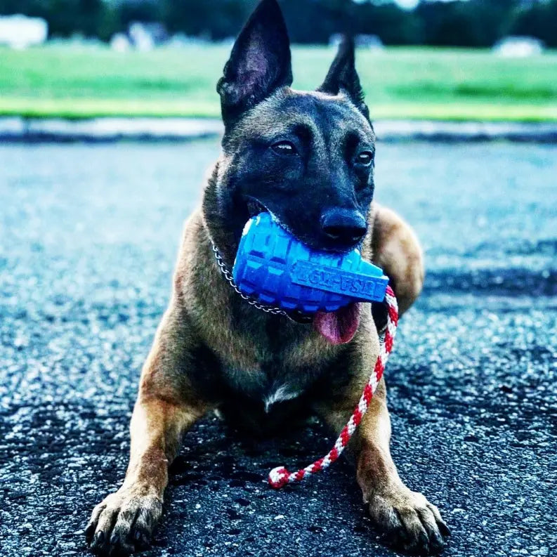USA-K9 Grenade Durable Rubber Chew Toy, Treat Dispenser, Reward Toy, Tug Toy, and Retrieving Toy SodaPup