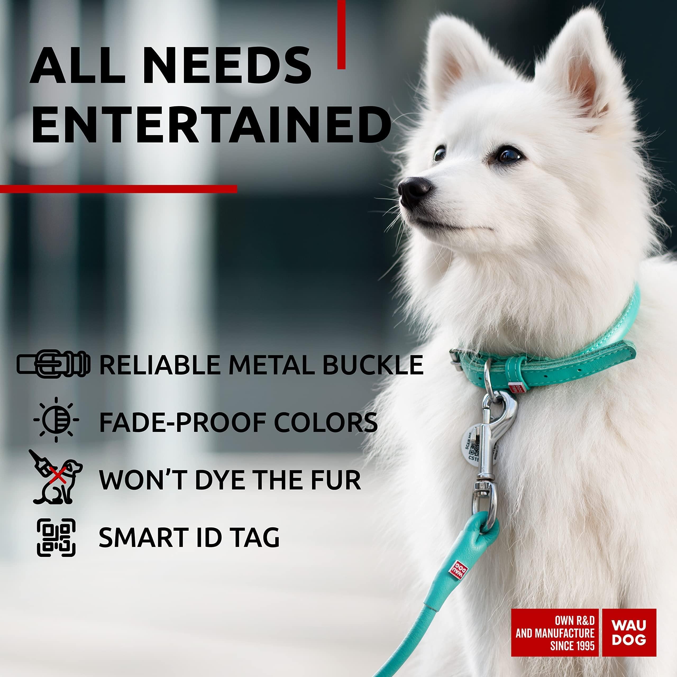 Ultra Soft Rolled Leather Dog Collar for Small Dogs   Soft Padded Dog Collars for Medium Dogs   Puppy Collars for Large Breed Dogs   Male and Female Dog Collar Waudog