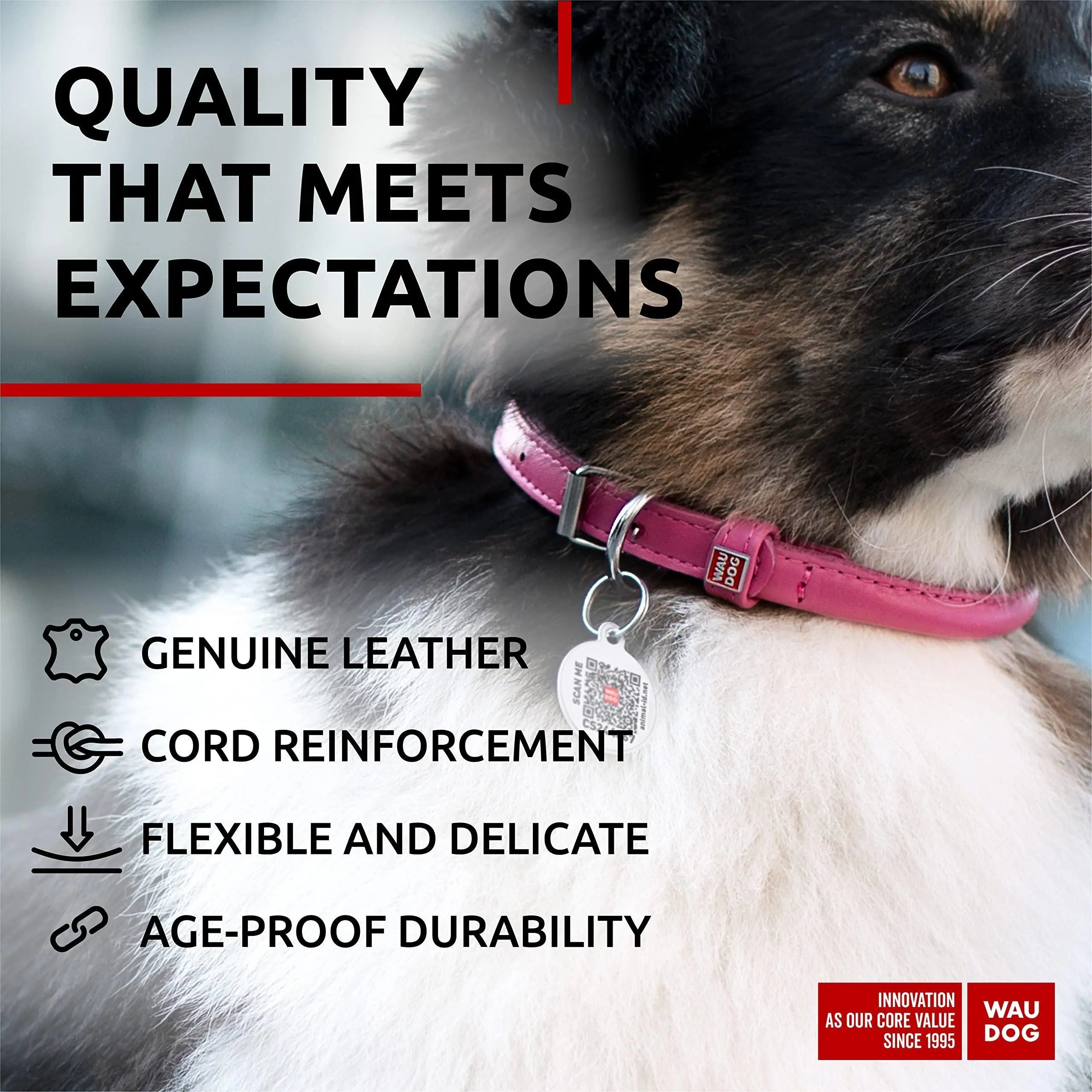 Ultra Soft Rolled Leather Dog Collar for Small Dogs   Soft Padded Dog Collars for Medium Dogs   Puppy Collars for Large Breed Dogs   Male and Female Dog Collar Waudog