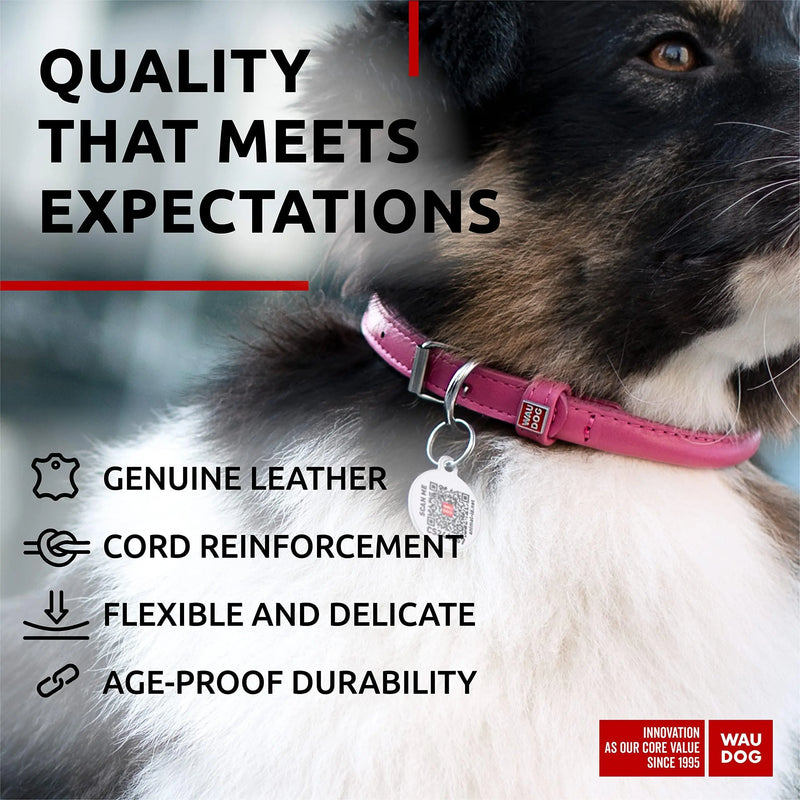 Ultra Soft Rolled Leather Dog Collar for Small Dogs   Soft Padded Dog Collars for Medium Dogs   Puppy Collars for Large Breed Dogs   Male and Female Dog Collar Waudog