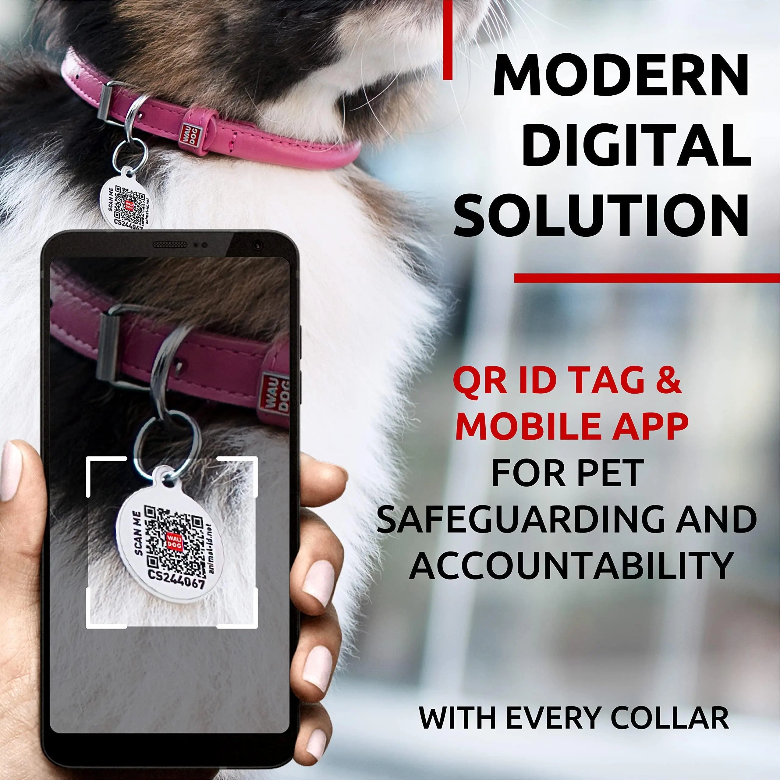 Ultra Soft Rolled Leather Dog Collar for Small Dogs   Soft Padded Dog Collars for Medium Dogs   Puppy Collars for Large Breed Dogs   Male and Female Dog Collar Waudog