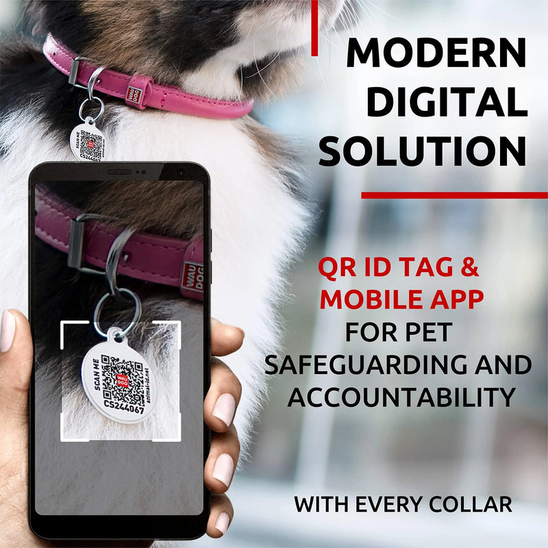 Ultra Soft Rolled Leather Dog Collar for Small Dogs   Soft Padded Dog Collars for Medium Dogs   Puppy Collars for Large Breed Dogs   Male and Female Dog Collar Waudog