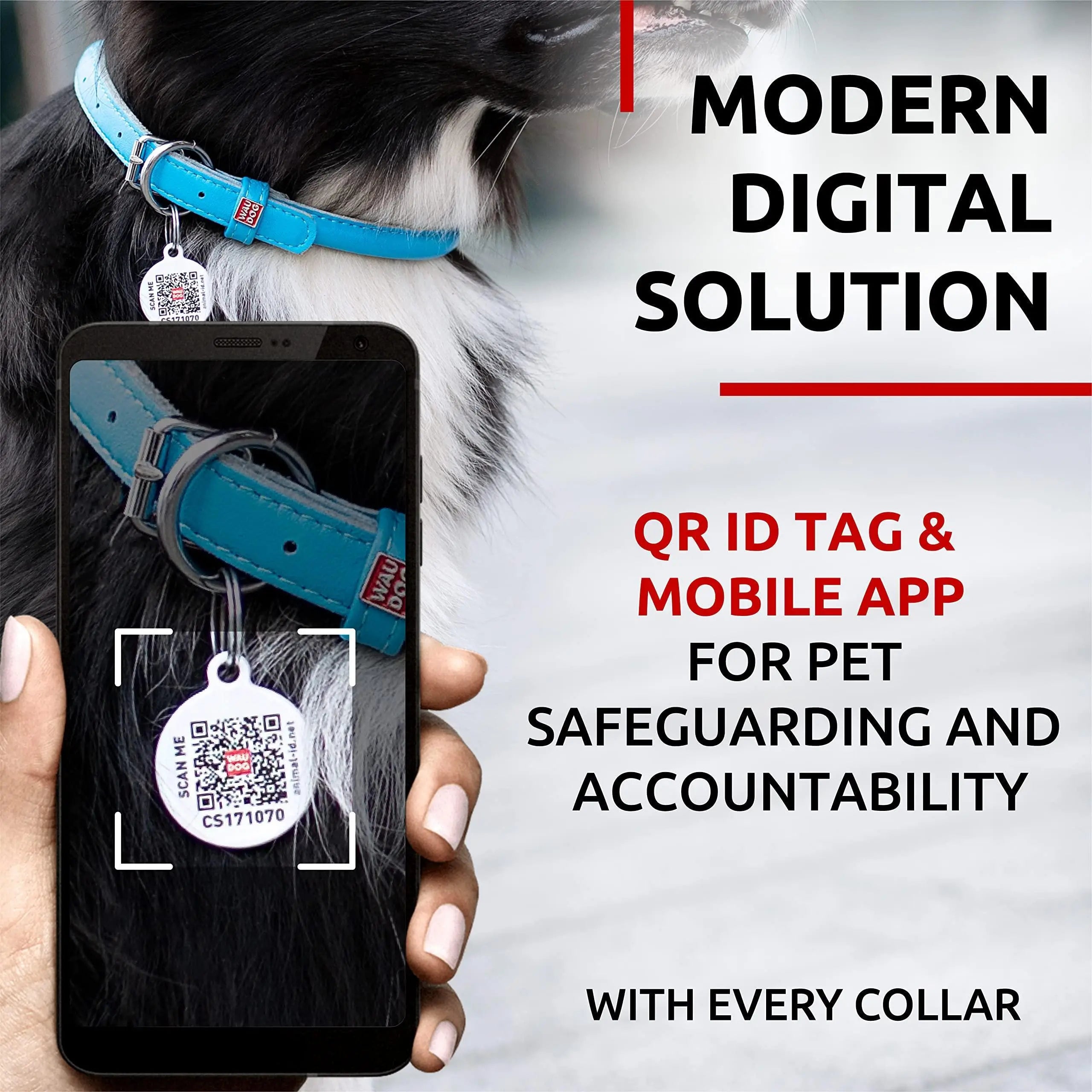 Ultra Soft Rolled Leather Dog Collar for Small Dogs   Soft Padded Dog Collars for Medium Dogs   Puppy Collars for Large Breed Dogs   Male and Female Dog Collar Waudog