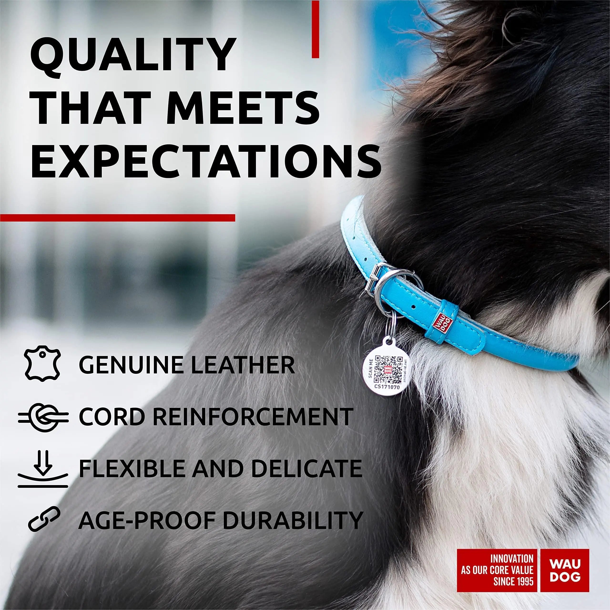 Ultra Soft Rolled Leather Dog Collar for Small Dogs   Soft Padded Dog Collars for Medium Dogs   Puppy Collars for Large Breed Dogs   Male and Female Dog Collar Waudog