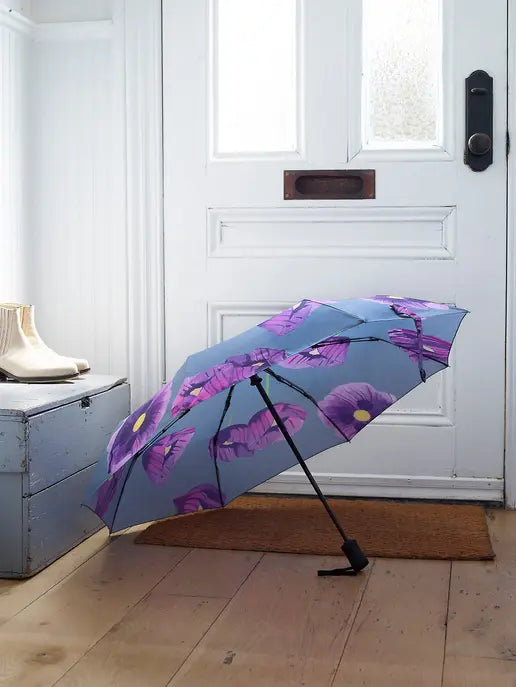 Umbrella India & Purry