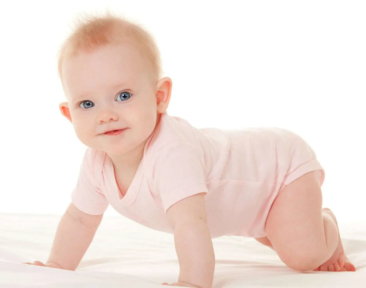 253141878
