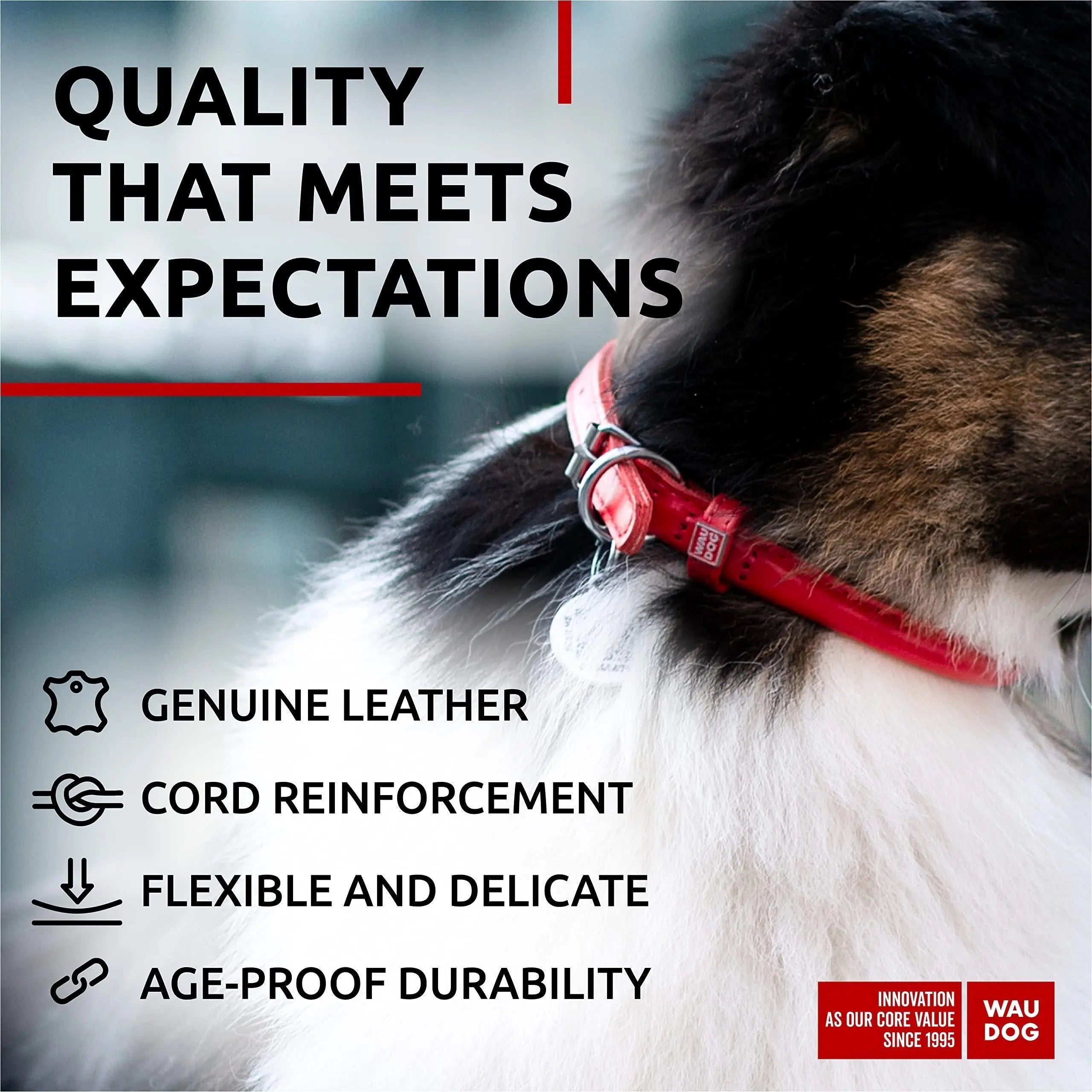 WAUDOG Ultra Soft Rolled Leather Dog Collar for Small Dogs   Soft Padded Dog Collars for Medium Dogs   Puppy Collars for Large Breed Dogs   Male and Female Dog Collar Waudog