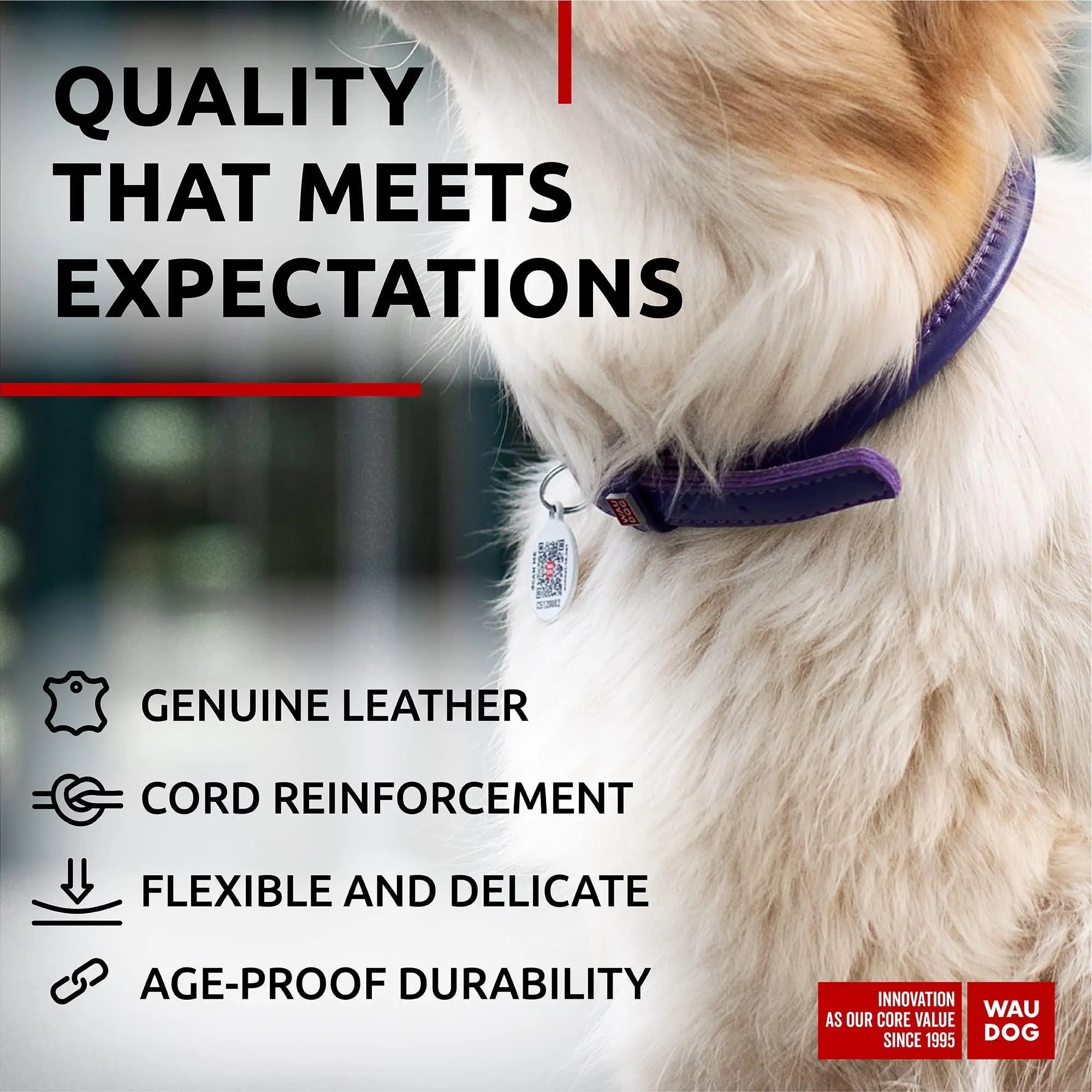 WAUDOG Ultra Soft Rolled Leather Dog Collar for Small Dogs   Soft Padded Dog Collars for Medium Dogs   Puppy Collars for Large Breed Dogs   Male and Female Dog Collar Waudog