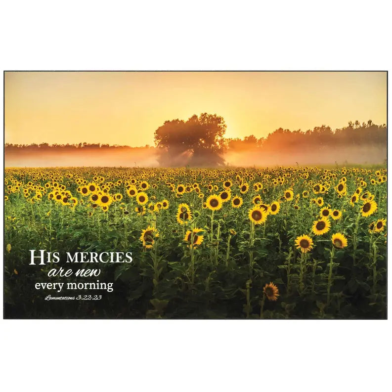 Wall Plaque His Mercies Are New Dicksons Inc