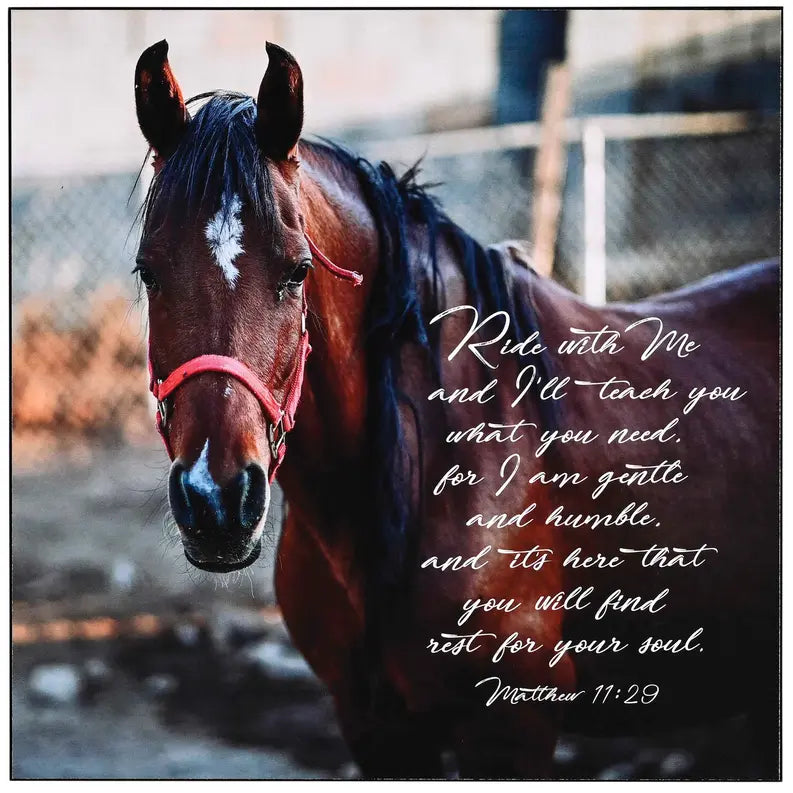 Wall Plaque Ride With Me Matthew 11:29 Dicksons Inc